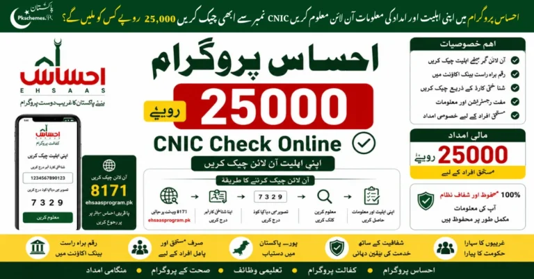 Ehsaas Program CNIC Check Online 25000, Ehsaas 25000 payment check by CNIC, Ehsaas Program 25000 rupees, 8171 Ehsaas Program check online, Ehsaas payment status and registration