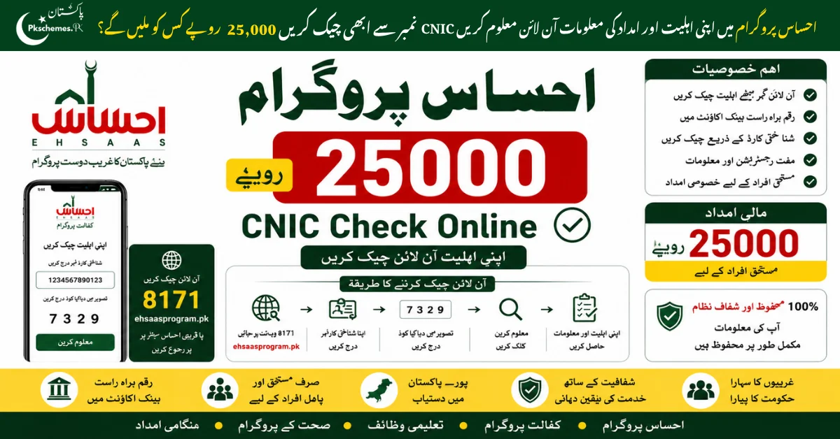 Ehsaas Program CNIC Check Online 25000, Ehsaas 25000 payment check by CNIC, Ehsaas Program 25000 rupees, 8171 Ehsaas Program check online, Ehsaas payment status and registration