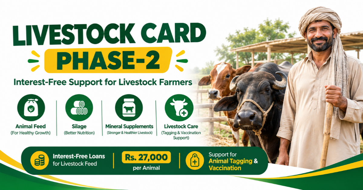 CM Punjab Livestock Card Phase 2 2026 for livestock farmers